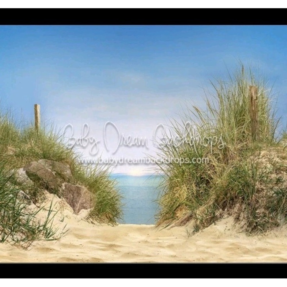 "Bring on The Beach" Baby Dream Backdrop 5/e